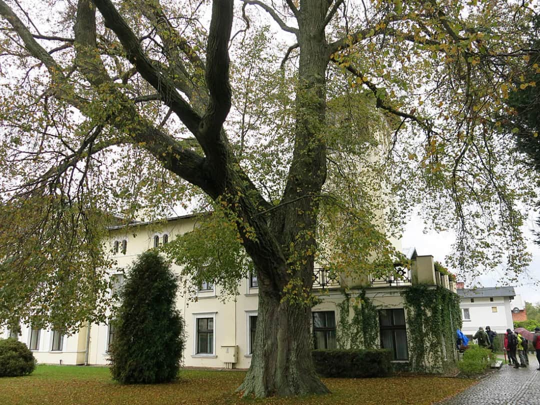 Filmowe tajemnice: gdzie kręcono film Kamerdyner - wszystkie lokalizacje